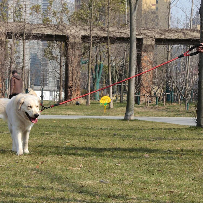 Pet Leashes Reflective Multi Color Round Rope Large Dog Collar Leash Training Running Rope Comfortable For Medium And Large Dogs