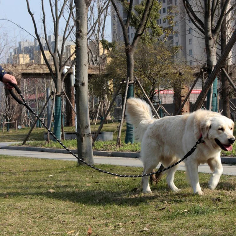 Pet Leashes Reflective Multi Color Round Rope Large Dog Collar Leash Training Running Rope Comfortable For Medium And Large Dogs