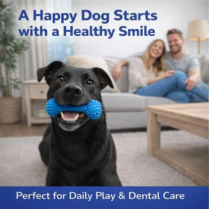 Dog Dental Chew Stick Teeth Cleaning Tool Puppy Toothbrush Chew Toy Easy Brushing Dental Care Toy for Dogs Puppies Daily