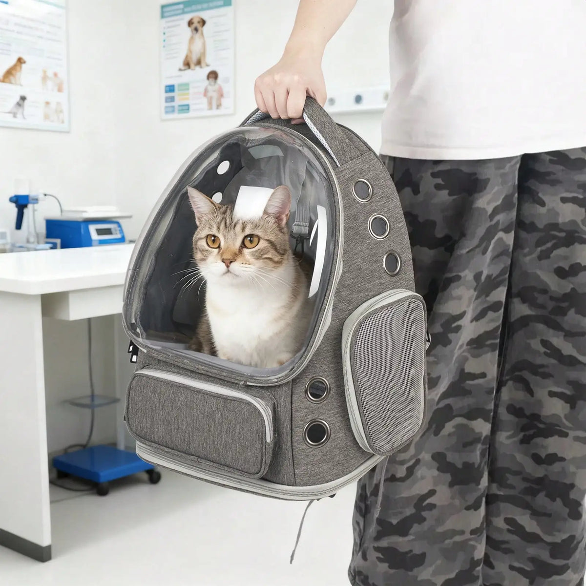 Mochila transparente de gran capacidad para mascotas - Diseño portátil de doble hombro, ideal para viajar y aventuras al aire libre con gatos y perros pequeños
