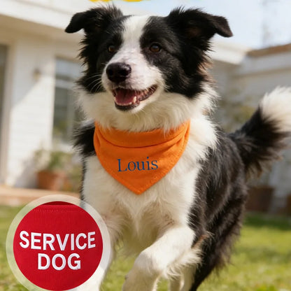 Personalized Embroidered Dog Bandana, Adjustable Multi-Color Anti-Slobber Triangle Pet Scarf