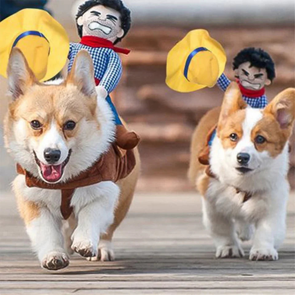 NONOR Halloween Party Dog Clothes Funny Cowboy Dressing Up Jacket Coats French Bulldog Chihuahua Costumes for Small to Large Dogs