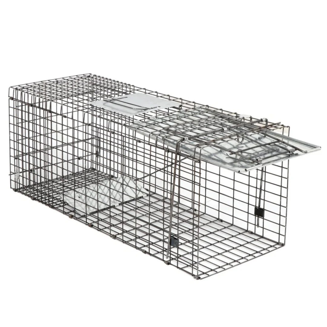 Live Animal Cage Trap 32" X 12.5" X 12" Humane Rodent Raccoon Cage w/Iron Door