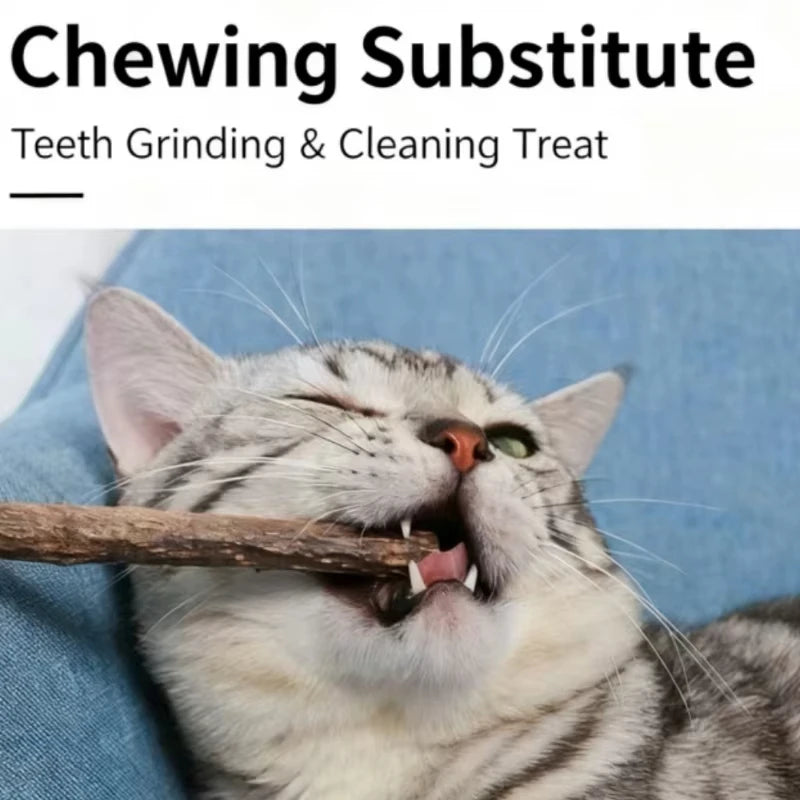 20Pcs 4-6mm Catnip Chew Sticks, Natural Woodruff Cat Toys - for Teeth Cleaning & Kitten Entertainment Actinidia Silvervine