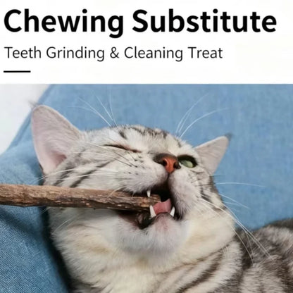20Pcs 4-6mm Catnip Chew Sticks, Natural Woodruff Cat Toys - for Teeth Cleaning & Kitten Entertainment Actinidia Silvervine
