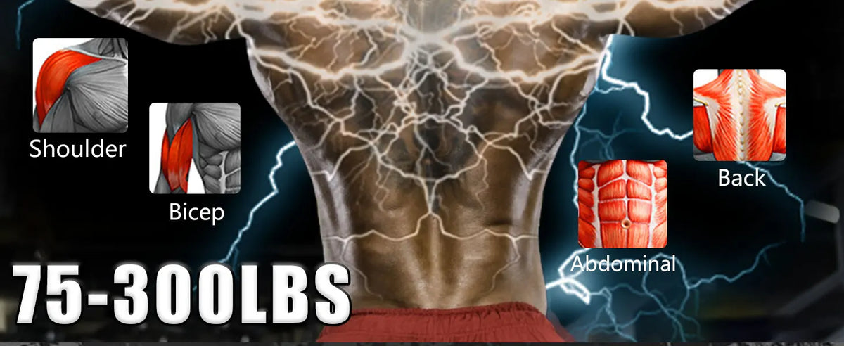 Bandas de asistencia para dominadas de 260 libras, bandas de resistencia para dominadas con soporte para pies, bandas de asistencia para barra de dominadas, equipo de entrenamiento de fuerza, altura ajustable