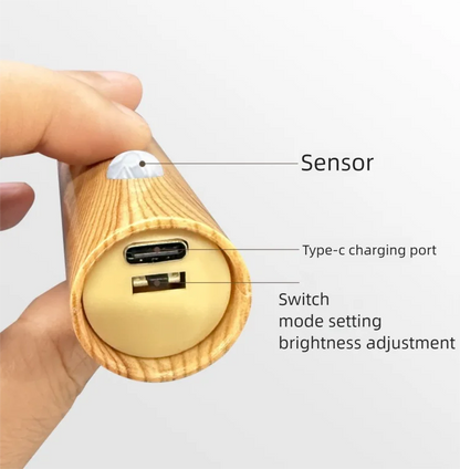 LED Night Light USB Charging Intelligent Human Induction For Bedside Cabinet Home Wardrobe Lighting Motion Sensor Light Led Lamp