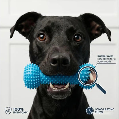 Dog Dental Chew Stick Teeth Cleaning Tool Puppy Toothbrush Chew Toy Easy Brushing Dental Care Toy for Dogs Puppies Daily
