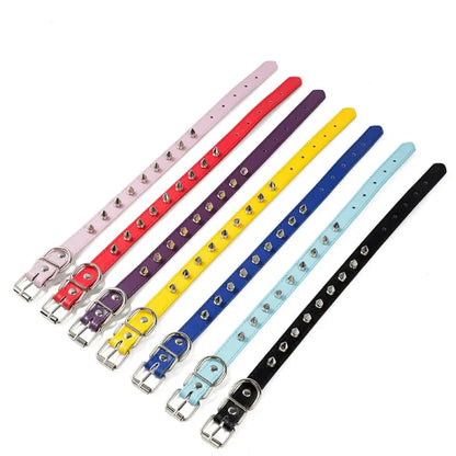 Pet Products Leather Cat Dog Collar Colorful Adjustable Pet Spiked Studded Collars Cool Exquisite Pet Neck Strap Photograph