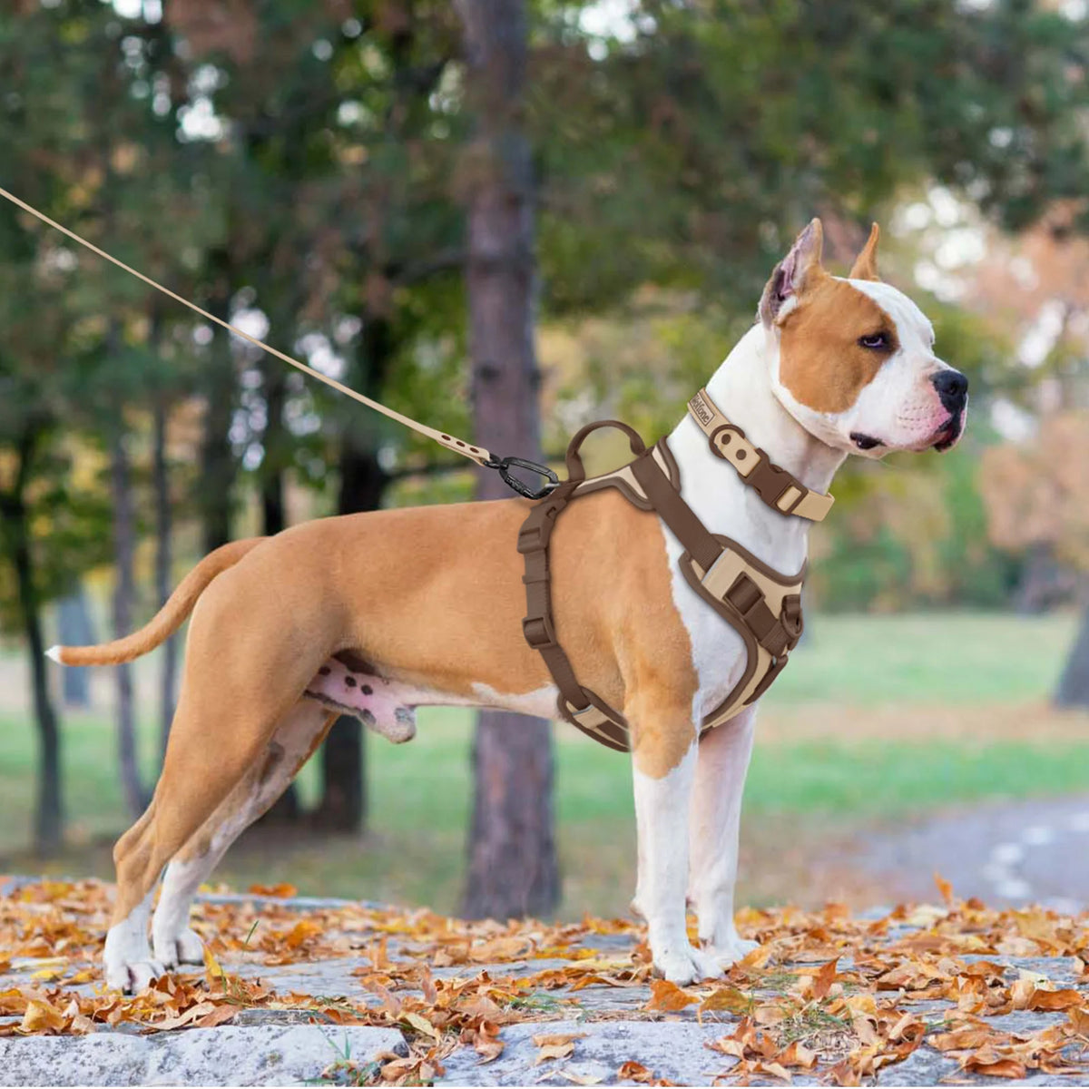 New Chocolate Color Luxury No-Pull Dog Harness for Large and Small Dogs, Adjustable Chest Strap, Personalized Dog Harness