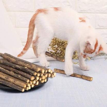 20Pcs 4-6mm Catnip Chew Sticks, Natural Woodruff Cat Toys - for Teeth Cleaning & Kitten Entertainment Actinidia Silvervine