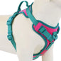 New Chocolate Color Luxury No-Pull Dog Harness for Large and Small Dogs, Adjustable Chest Strap, Personalized Dog Harness