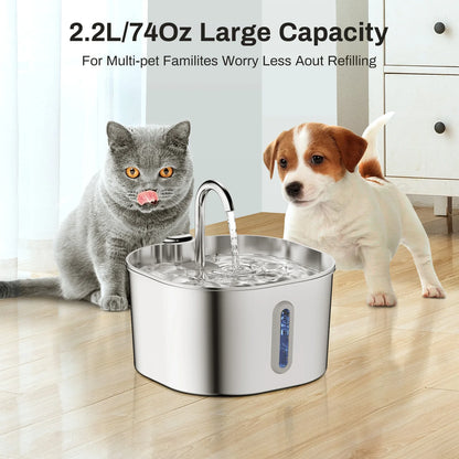 ZYFeeder 2.2L Automatic Stainless Steel Pet Water Fountain, Cat/Dog Drinking Bowl, Silent Water Dispenser with Window