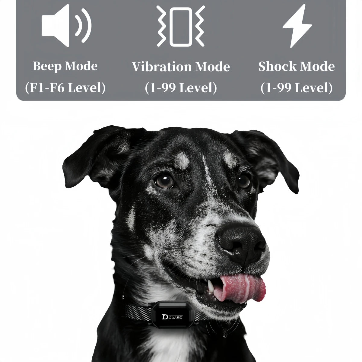 800m Digital Dog Training Collar Waterproof Rechargeable Remote Control Pet with LCD Display for All Size Shock Vibration Sound