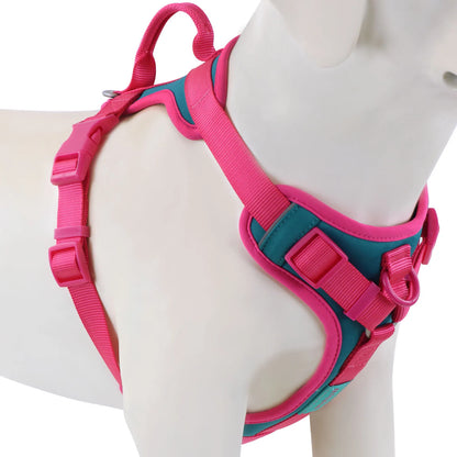 New Chocolate Color Luxury No-Pull Dog Harness for Large and Small Dogs, Adjustable Chest Strap, Personalized Dog Harness