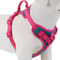New Chocolate Color Luxury No-Pull Dog Harness for Large and Small Dogs, Adjustable Chest Strap, Personalized Dog Harness