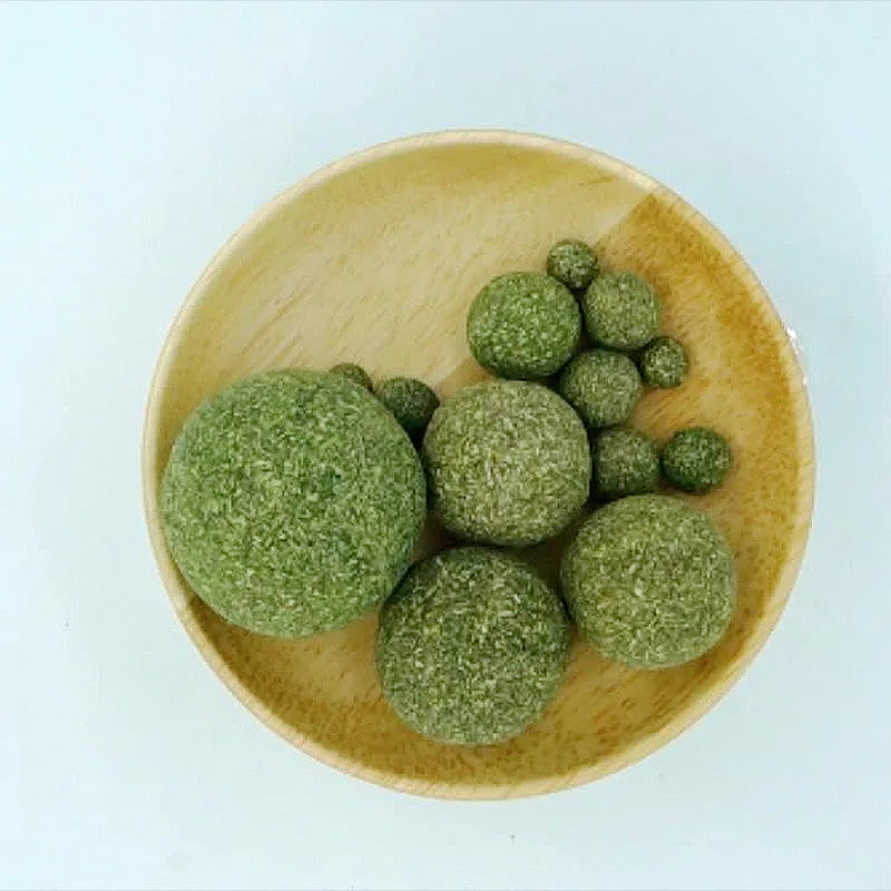 Mint Toys Edible Catnip Ball Safe Healthy Cat Catnip Toy for Cats Home Chasing Games Product Cleans Teeth and Stomach