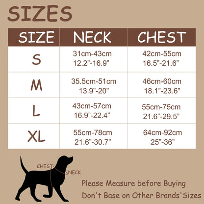 New Chocolate Color Luxury No-Pull Dog Harness for Large and Small Dogs, Adjustable Chest Strap, Personalized Dog Harness