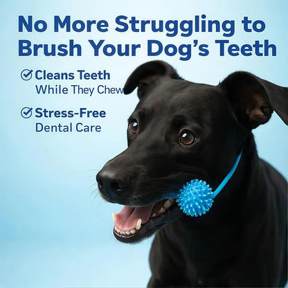 Dog Dental Chew Stick Teeth Cleaning Tool Puppy Toothbrush Chew Toy Easy Brushing Dental Care Toy for Dogs Puppies Daily
