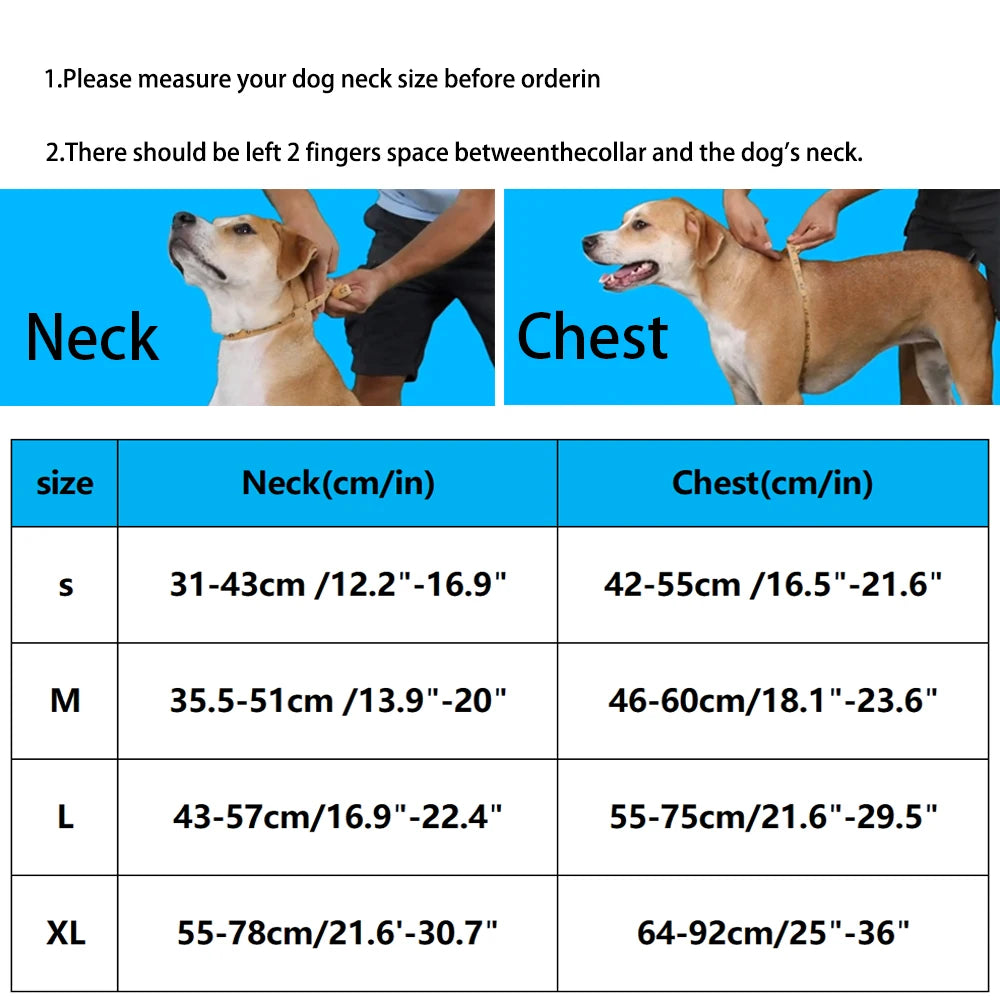 New Chocolate Color Luxury No-Pull Dog Harness for Large and Small Dogs, Adjustable Chest Strap, Personalized Dog Harness
