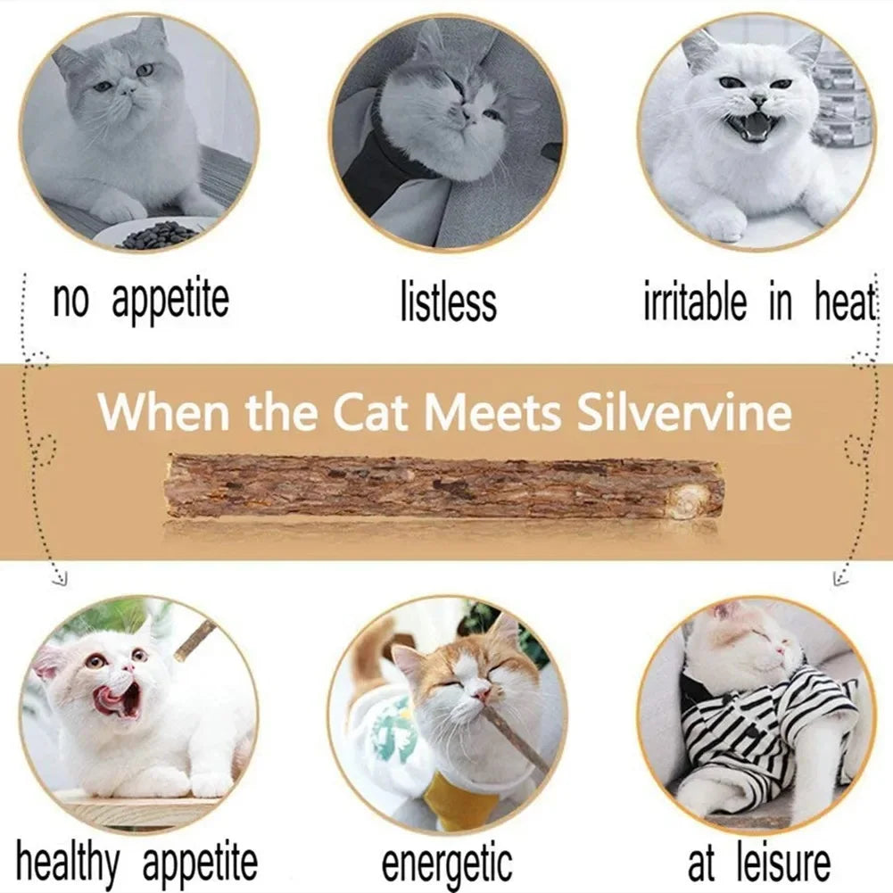 20Pcs 4-6mm Catnip Chew Sticks, Natural Woodruff Cat Toys - for Teeth Cleaning & Kitten Entertainment Actinidia Silvervine