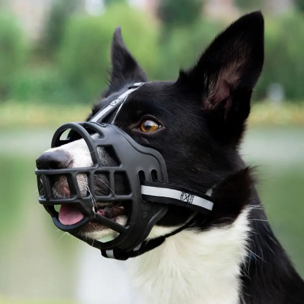 Adjustable Anti-Bite Dog Muzzle with Reflective Strip, Breathable Plastic, Allows Drinking Water
