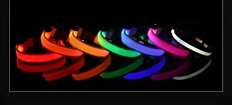 Dog Collar Nylon LED Night Safety Flashing Glow In The Dark Pet Dog Leash Pet Dogs Luminous Fluorescent Dog Accessories Collar