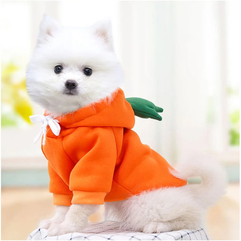 Cosplay Pet Clothes Dog Hoodies Clothing For Small Dog Coat Jacket Puppy Cat Costume Chihuahua Yorkie Clothes
