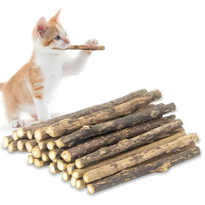 20Pcs 4-6mm Catnip Chew Sticks, Natural Woodruff Cat Toys - for Teeth Cleaning & Kitten Entertainment Actinidia Silvervine