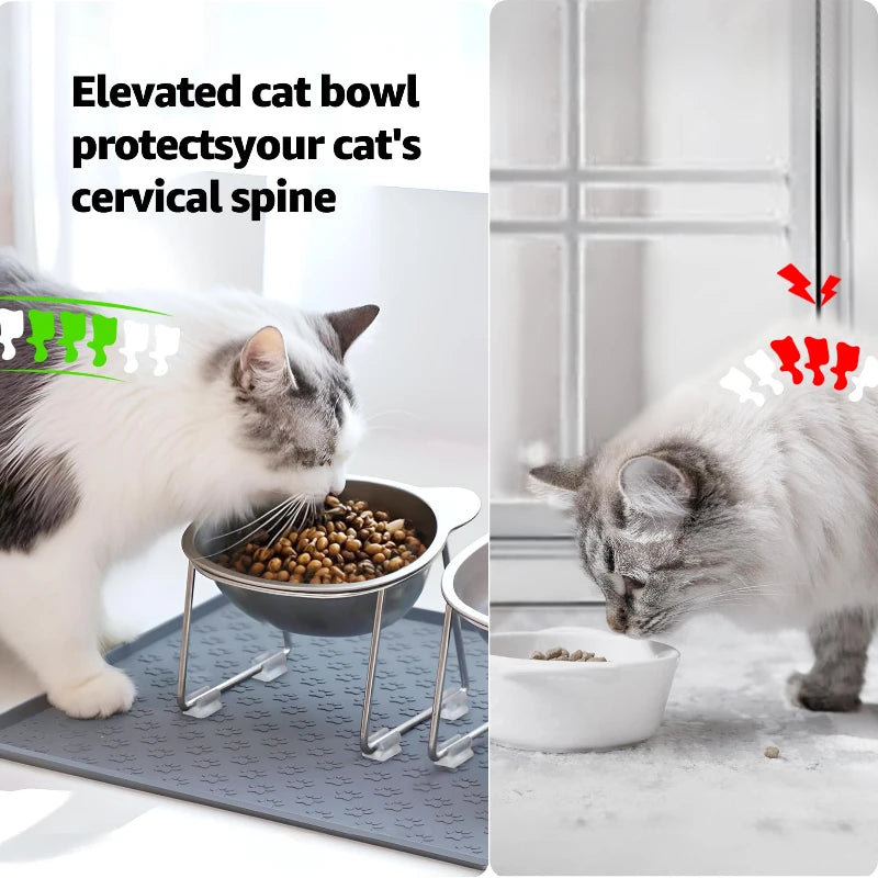 ‌304 Stainless Steel Raised Cat Bowl with 15° Elevated Design Tilted Neck Guard Healthy Feeding Shatterproof for Cats Puppies