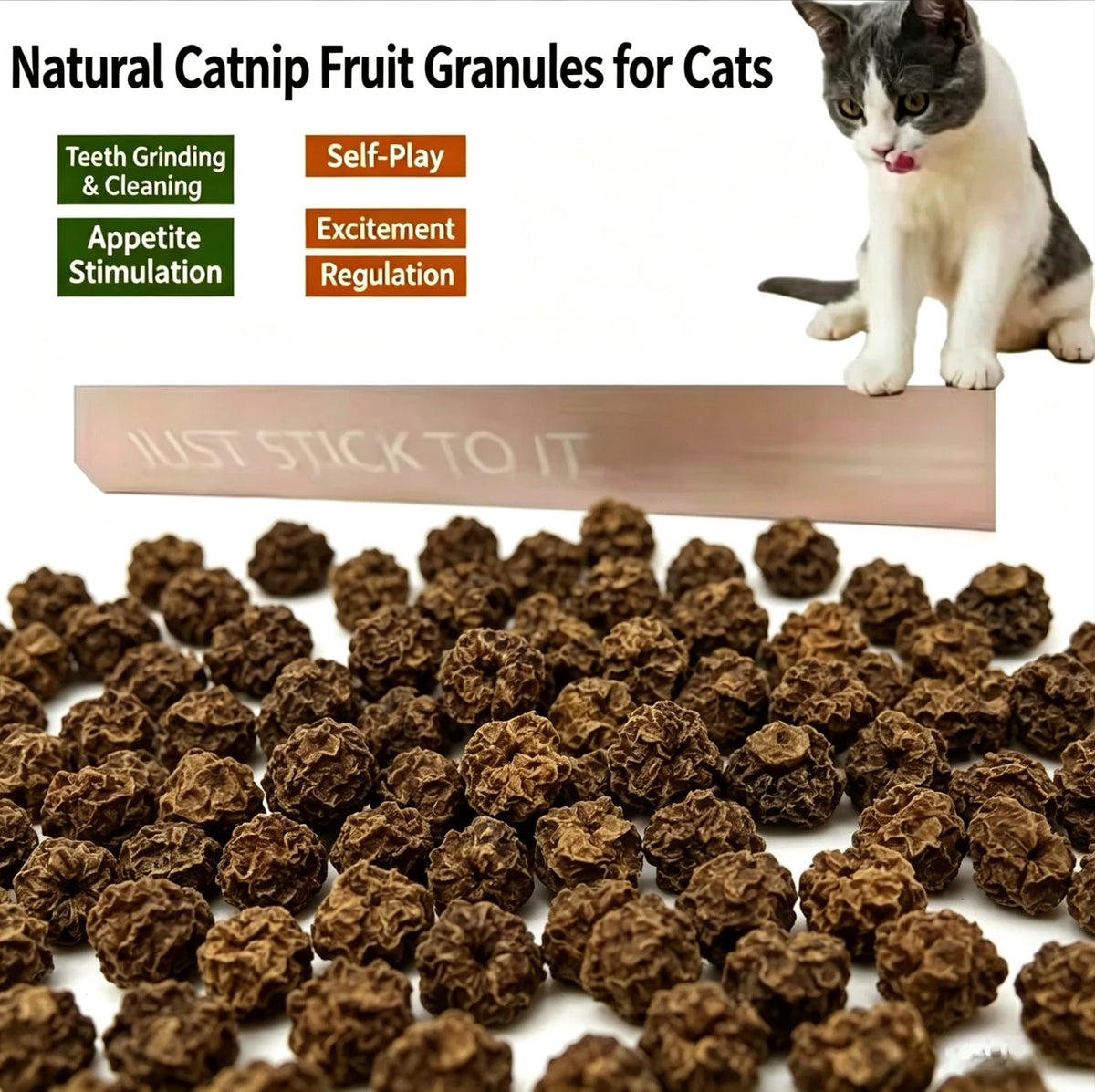 Natural Silver Vine Gall Fruit Cat Chew Toy, Teething Grinding Dental Toy for Kitten Adult Cat