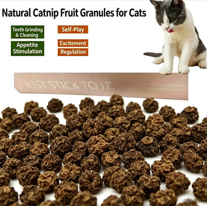 Natural Silver Vine Gall Fruit Cat Chew Toy, Teething Grinding Dental Toy for Kitten Adult Cat