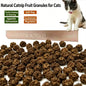 Natural Silver Vine Gall Fruit Cat Chew Toy, Teething Grinding Dental Toy for Kitten Adult Cat