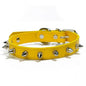 Pet Products Leather Cat Dog Collar Colorful Adjustable Pet Spiked Studded Collars Cool Exquisite Pet Neck Strap Photograph