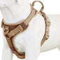 New Chocolate Color Luxury No-Pull Dog Harness for Large and Small Dogs, Adjustable Chest Strap, Personalized Dog Harness