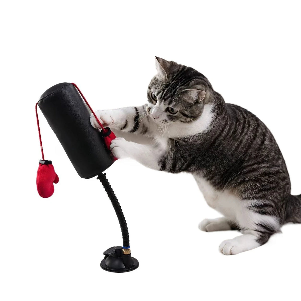 Nuevo juguete de entretenimiento para gatos, juego de boxeo para gatos, juguete de boxeo interactivo multifuncional para gatos