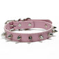 Pet Products Leather Cat Dog Collar Colorful Adjustable Pet Spiked Studded Collars Cool Exquisite Pet Neck Strap Photograph