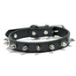 Pet Products Leather Cat Dog Collar Colorful Adjustable Pet Spiked Studded Collars Cool Exquisite Pet Neck Strap Photograph