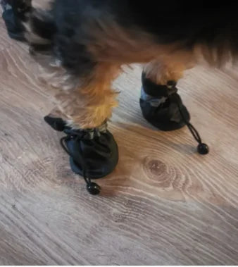 4pcs/set Waterproof Pet Dog Shoes Anti-slip Rain Boots Footwear for Small Cats Dogs Puppy Pet Booties Pet Paw Accessories